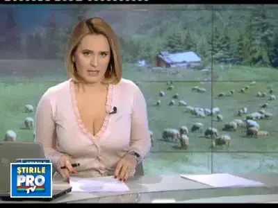 Institutul de Cercetare Palas din Constanta, la un pas de-a fi inchis