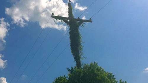 curiozitati