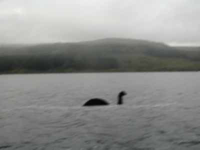 De la Chupacabra, la Omul-Molie. Top 10 creaturi misterioase ale planetei