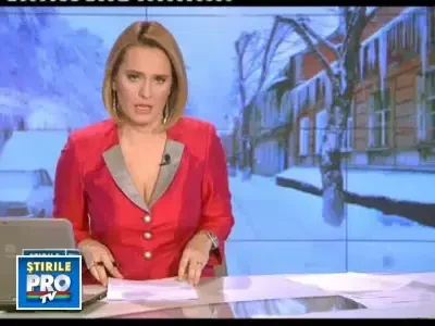 Afla cum poti scapa de turturii de pe casa fara sa depui niciun efort