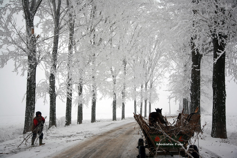 Ger si peisaje de fotografie in acest weekend: vine chiciura. FOTO