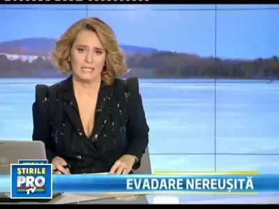 Iubitori adevarati de animale: si-au riscat viata ca sa salveze o lebada