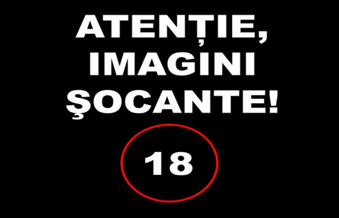 Doi hoti de biciclete schingiuiti pana la moarte de un grup de tineri.Video