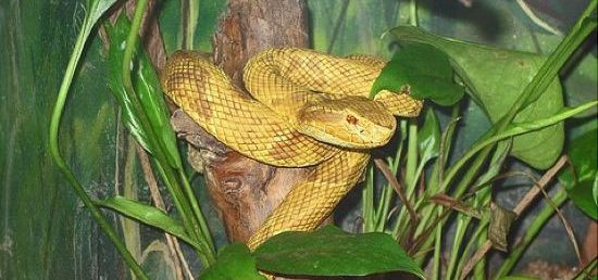 Vrei o vacanta linistita? 10 locuri pe care NU trebuie sa le vizitezi! FOTO