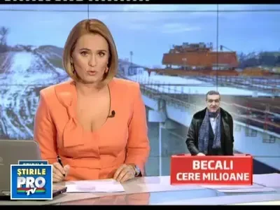 Becali se cearta cu primaria Capitalei pe pamanturi