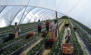 Spania si Italia reiau angajarile dupa criza. Vezi ce job poti sa gasesti