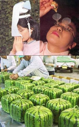 Top cele mai ciudate inventii japoneze! FOTO