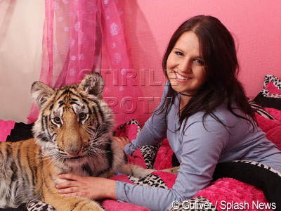 Doarme cu tigrul in pat: 'E ca si cum ai avea un caine'