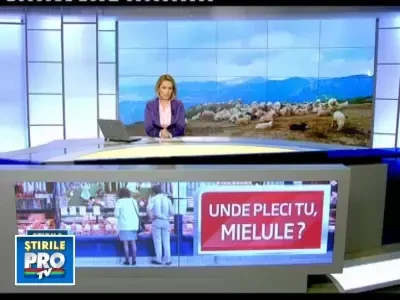 Ciobanii trimit mieii la export pentru a-i importa apoi la pret dublu