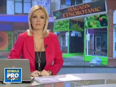 Solutie pentru combaterea consumului de etnobotanice. Vezi ideea Guvernului