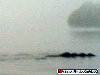 Creatura misterioasa surprinsa intr-un lac din Anglia. FOTO