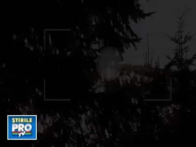 Tu de ce iubesti Romania?