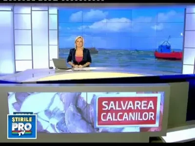 Specialistii romani vor sa repopuleze Marea Neagra cu calcan