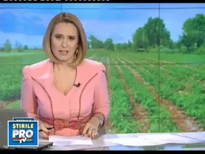 Un milion de euro de la UE pentru cultivatorii de rosii. Vezi conditiile