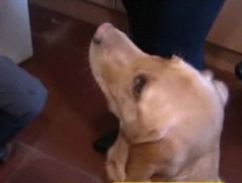 La 6 ani, viata ei depinde de mirosul unei cateluse. O poveste de suflet