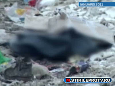 Lugoj: fosti angajati ai MAI si MApN, suspecti in cazul cadavrului transat