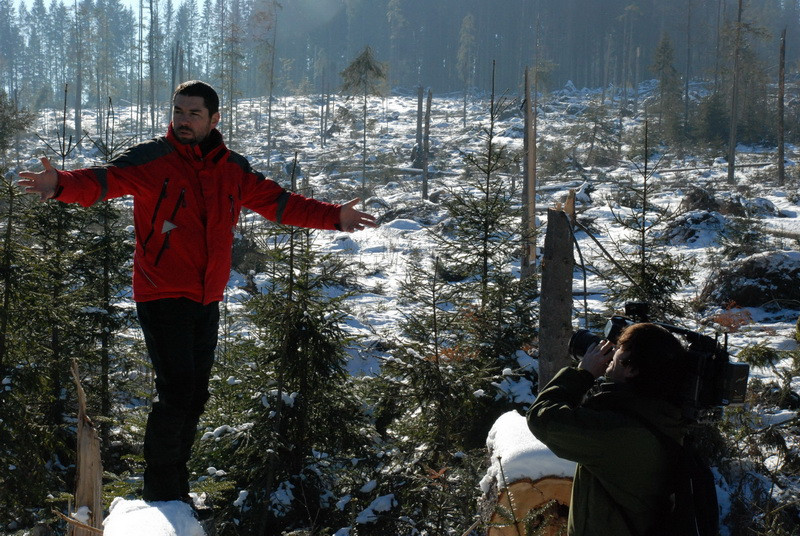 Cum se fura in padurile din Romania, duminica la "Romania, te iubesc"