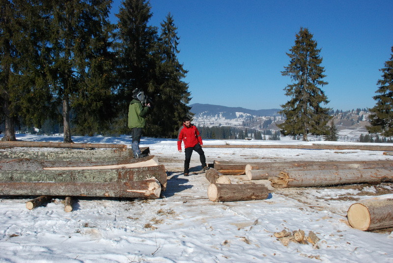 Cei care au ajutat la deconspirarea hotilor de paduri, pedepsiti