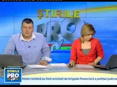 Cangur adoptat de o familie dupa un accident care l-a lasat paralizat