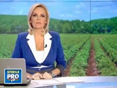 Cartoful in carantina. O boala ne lasa fara