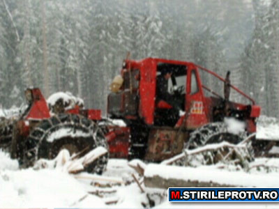Marea defrisare. Cine se afla in spatele dezastrului din paduri. Partea 1