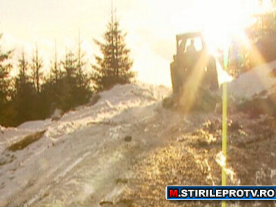 Marea defrisare. Cine se afla in spatele dezastrului din paduri. Partea 2