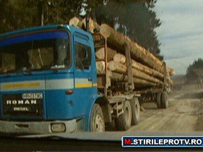 Marea defrisare. Cine se afla in spatele dezastrului din paduri. Partea 3