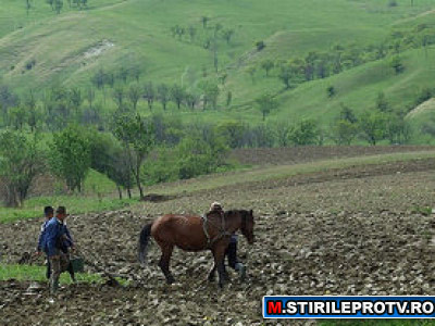 Ferme romanesti, pe piata imobiliara. Strainii fac profit de pe urma falimentului din agricultura