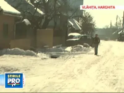 - Marea defrisare. Cine se afla in spatele dezastrului din paduri. Partea 2