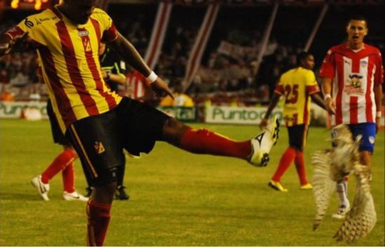 Video/Cruzime: Un fotbalist a sutat intr-o bufnita. Imagini socante