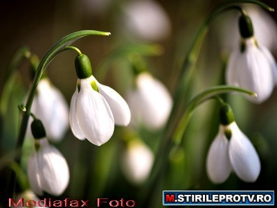 Baba hotaraste ce an vei avea! Alege sau calculeaza ziua care iti va spune cum va fi 2012