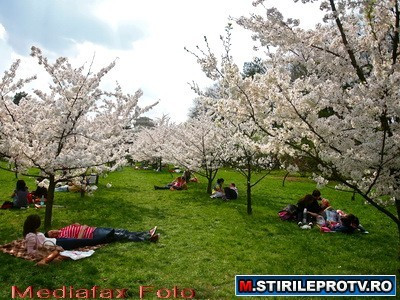 Apare soarele si se incalzeste. Prognoza meteo de Florii