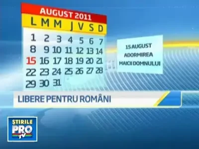 Fratia puterii. Partidele din coalitie au semnat un protocol de colaborare