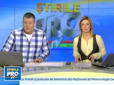 Cruzime. 60.000 de chihuahua, abandonati pentru ca nu mai sunt la moda