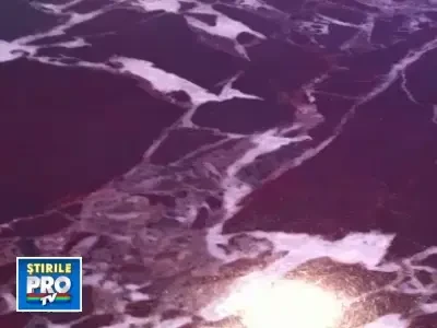 Declaratie socanta. Irina Columbeanu: Vreau sa-mi cumpar alta mama. VIDEO