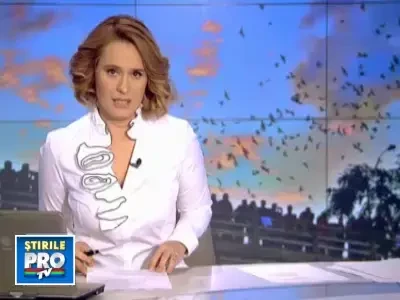 Doua milioane de lilieci fac spectacol in Austin, Texas