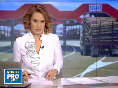 Unde ajung padurile taiate din Romania? La export, in special in Ungaria