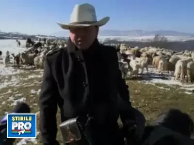 Idei de afaceri profitabile: comertul cu carne de capra