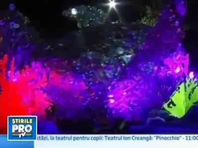 Majorete si pompieri la parada gay de la Sydney