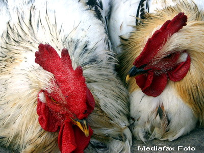 Pofta ce-am poftit: gustul ca la tara la masa de Paste. Cat ne costa