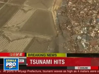 Japonia a fost lovita de tsunami