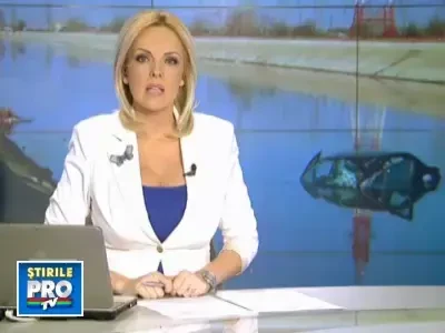 La un pas de moarte. A evitat un caine si a ajuns cu masina in Dambovita