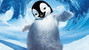 Happy Feet, pinguinul ratacit, pleaca spre taramul ghetii eterne. A primit 100.000 de euro