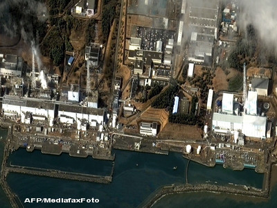 Taiwanul a detectat radiatii in legume importate din Japonia