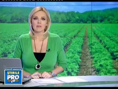 Taranii romani se intorc la stravechiul balegar. Nu au bani de chimicale