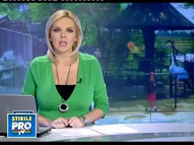 Knut a murit. Ultimul VIDEO cu ursul polar indragit de o lume intreaga