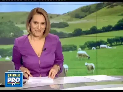 Berbecul german, solutia salvatoare pentru ciobanii romani