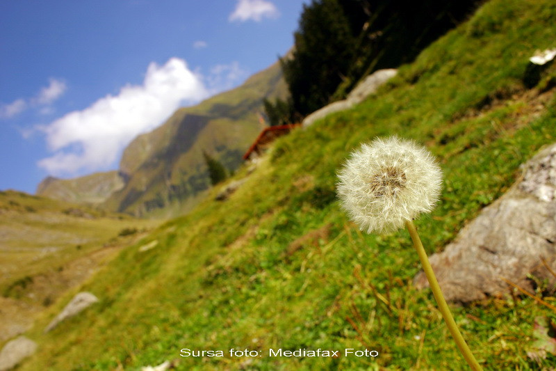 Vreme nebuna. Azi, 20° in sud, duminica, 0° in nord si est