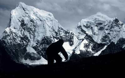 L-au gasit pe Yeti. Si au dovada