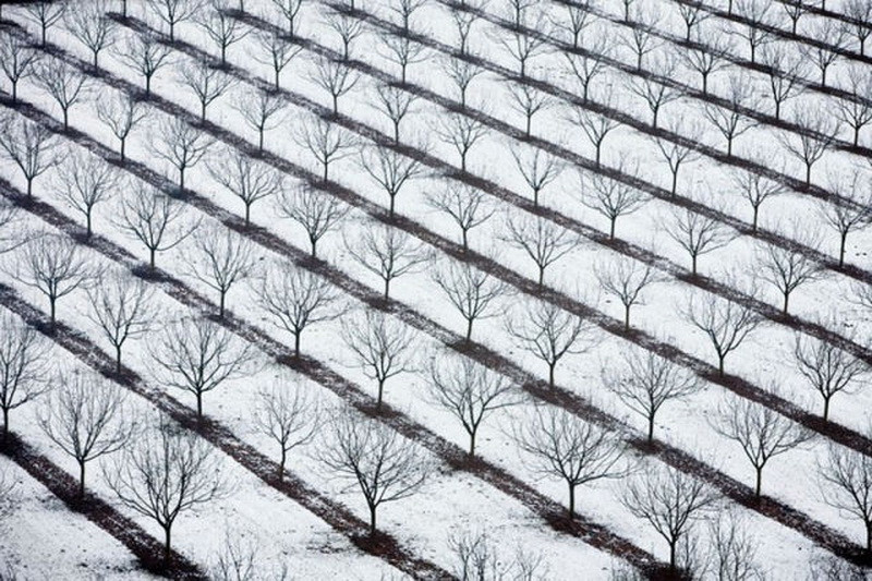 Lumea vazuta de sus. Forme geometrice uluitoare. GALERIE FOTO